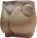 Manikin Teaching Model, Hip Injection Practice Model, Hip Injection Training Simulator Intramuscular, Medicla Practice Training Model for Study Teaching