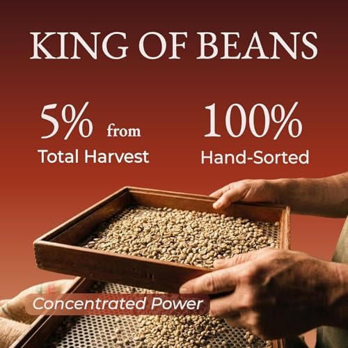 Cafely BanMe - Rare Peaberry Robusta Whole Bean Vietnamese Coffee – Dark Roast, High Caffeine (Rich & Intense), Thick Crema, Low Acid, Single Origin, Direct Trade, For Espresso, Phin, French Press, 12 oz