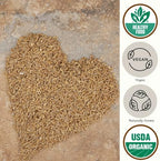 Be Still Farms Einkorn Farro Grain Organic (4.8 lb) - Einkorn Wheat Berries Bulk Whole Ancient Grains - Ideal for Soup, Flour, Bread - High in Fiber | USA Grown | USDA Certified | Vegan | Non-GMO