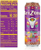 AriZona Fruit Punch - Big Can, 22 Fl Oz (Pack of 24)