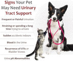 K-Plus Potassium Citrate + Cranberry Granules for Dogs & Cats – Vet-Approved UTI & Bladder Health Support – Helps Maintain Urinary Balance & Kidney Function – Easy-to-Use Granules – 60 Doses
