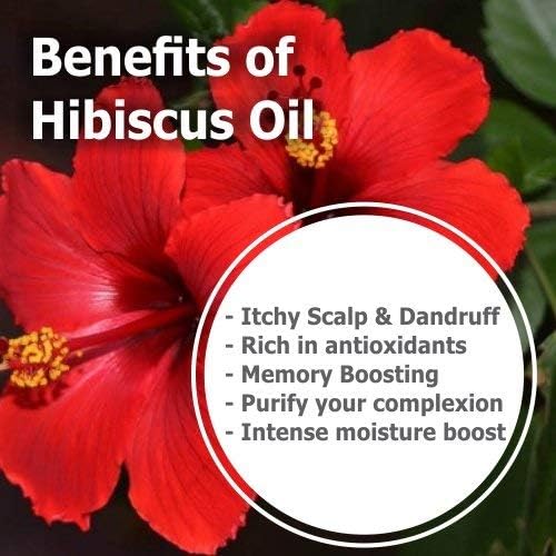 Hibiscus Oil (Hibiscus Sabdariffa L) Therapeutic Essential Oil by Salvia Amber Bottle 100% Natural Uncut Undiluted Pure Cold Pressed Oil (1.01 floz with dr)
