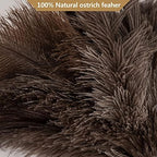 Aldwin Ostrich Feather Duster, 16 inch Ostrich Feather Duster with Wood Handle Reusable, Fluffy Natural Genuine Handheld Feather Duster for Cleaning Supplies, Home, Car, Office