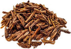 Groovy Grasshoppers - All Natural Healthy High Protein Insect Treat - Chickens, Birds, Hedgehogs, Bluebirds, Reptiles, Sugar Gliders, Opossums, Skunks, Lizards, Fish, Turtles, Amphibians (1.4 oz)