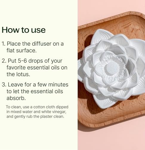 Plant Therapy Passive Lotus Flower Aromatherapy Diffuser - A Chic and Natural Home, Office, and Travel Essential Oil Diffuser