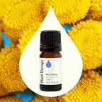 Plant Therapy Blue Tansy Essential Oil 100% Pure, Undiluted, Natural Aromatherapy, Therapeutic Grade 5 mL (1/6 oz)