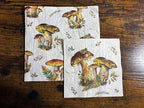 IHR Ideal Home Range Party Napkins Disposable 3-Ply Paper Lunch Napkin Pack, 6.5" x 6.5", Mushroom Collection, 20-Count