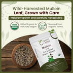 Organic Way Mullein Leaf | Herbal Tea (Verbascum thapsus) Cut & Sifted - European Wild-Harvest | Organic & Kosher Certified | Non GMO & USDA Certified | Origin - Albania (1/4LBS / 4Oz.)