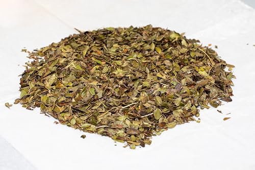 Organic Uva Ursi Dried Leaves - 8Oz (REAL WILD HARVEST) | 100% USDA Certified Organic | Loose Leaf (Arctostaphylos Uva-Ursi aka Bearberry Leaves aka Kinnikinnick) |Herbal Tea | Packaged in The USA