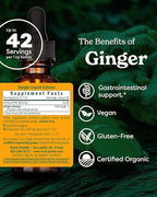 Herb Pharm Certified Organic Ginger Liquid Extract for Digestive Support - 1 Ounce