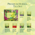 ACORUS Premium Tea Set - Natural Herbal Tea Variety Pack, Gift Set of 6 Different Teas, 60 Bags Individually Wrapped, Herbal Sampler Box