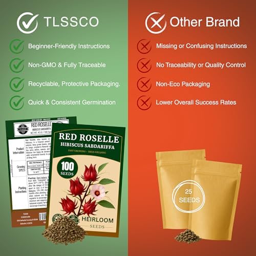 100+ Red Roselle 𝗡𝗢𝗡-𝗚𝗠𝗢 𝗨𝗦𝗔 𝗣𝗥𝗘𝗠𝗜𝗨𝗠 Seeds for Planting – (Hibiscus Sabdariffa) Fast Growing Hibiscus Flowers