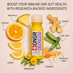 +GNGR Gut Health Shot – Prebiotic and Probiotic for Women & Men - Digestive & Immune Support, Organic Ginger Shot with Apple Cider Vinegar, Turmeric, Aloe Vera 2 fl oz (12-Pack)