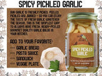 Green Jay Gourmet Pickled Garlic Cloves in a Jar – Spicy Pickled Garlic – Jalapeño & Red Pepper – Fresh Garlic Bulbs for Cooking – Natural Ingredients – Freshly Made, Pre-Prepared Garlic – 16 Ounce Jar