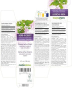 Naturalma Herb Robert (Geranium robertianum) herb with Flowers Alcohol-Free Tincture - 4 fl oz Liquid Extract in Drops - Herbal Supplement - Vegan