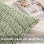 Aegero Pack of 2 Corduroy Decorative Throw Pillow Covers 18x18 InchSoft Boho Striped Pillow Covers Modern Farmhouse Home Decor for Sofa Living Room Couch Bed（Sage Green）