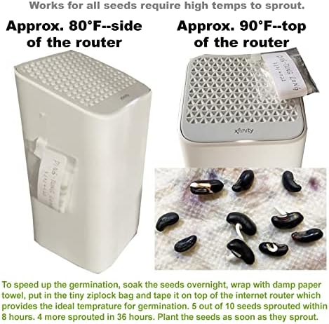 Bean Seeds for Planting Vegetables and Fruits.Pole Beans,Bush Beans,Romano Beans.Non GMO Garden Seeds for Home Vegetable Garden(6g,30+) Yardlong Pole Bean Seeds for Planting,Yard Long Asparagus Bean豇豆