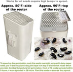 Bean Seeds for Planting Vegetables and Fruits.Pole Beans,Bush Beans,Romano Beans.Non GMO Garden Seeds for Home Vegetable Garden(6g,30+) Yardlong Pole Bean Seeds for Planting,Yard Long Asparagus Bean豇豆