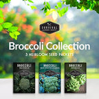 Broccoli Seeds for Planting – 3 Variety Pack – Calabrese, Romanesco, Waltham 29 Heirloom Non-GMO Broccoli Varieties | Cool-Weather Crop for Fall & Spring Gardens – Survival Garden Seeds