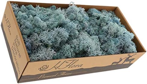 Natural Norwegian Reindeer Moss Preserved Dried Moss Craft Flower Stamen Indoor Outdoor Decoration (Light Blue)