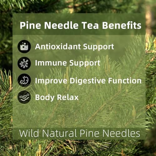 Pine Needle Tea Bags - 100% Pure Natural Wild Dried Pine Needles Herbal Tea (20 Tea Bags) Effectively Antioxidant & Immune Support, Caffeine Free