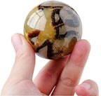 1pc Quartz Sphere Ocean Tortoise Shell Stone Crystal Ball Gemstone Home Decoration Gifts Ornaments (Size : 3-4cm)