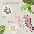 Neroli Essential Oil - 100% Pure Organic Natural Plant (Citrus aurantium) Neroli Oil for Diffuser, Aroma, Spa, Massage, Yoga, Perfume, 0.33oz