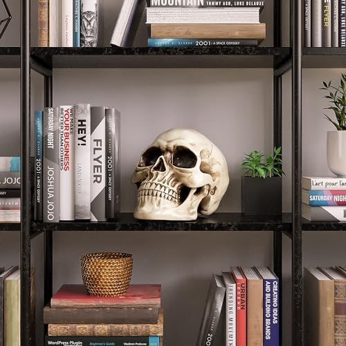 READAEER Life Size Resin Skull, Large Size Adult Skull Head Model for Home Decoration, Halloween Skull Statue, Human Skull Head Model (White)