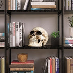 READAEER Life Size Resin Skull, Large Size Adult Skull Head Model for Home Decoration, Halloween Skull Statue, Human Skull Head Model (White)