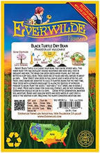 Everwilde Farms - 100 Black Turtle Dry Bean Seeds - Gold Vault Jumbo Seed Packet