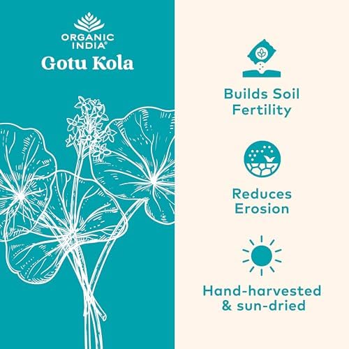 ORGANIC INDIA Gotu Kola Herbal Supplement - Adaptogen for Brain & Nervous System Support, Vegan, Gluten-Free, Kosher, USDA Certified Organic, Non-GMO, Calming, Mental Clarity - 90 Capsules