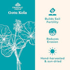 ORGANIC INDIA Gotu Kola Herbal Supplement - Adaptogen for Brain & Nervous System Support, Vegan, Gluten-Free, Kosher, USDA Certified Organic, Non-GMO, Calming, Mental Clarity - 90 Capsules