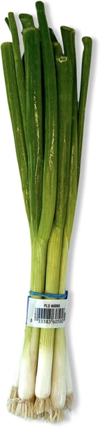 Green Onions (Scallions), One Bunch