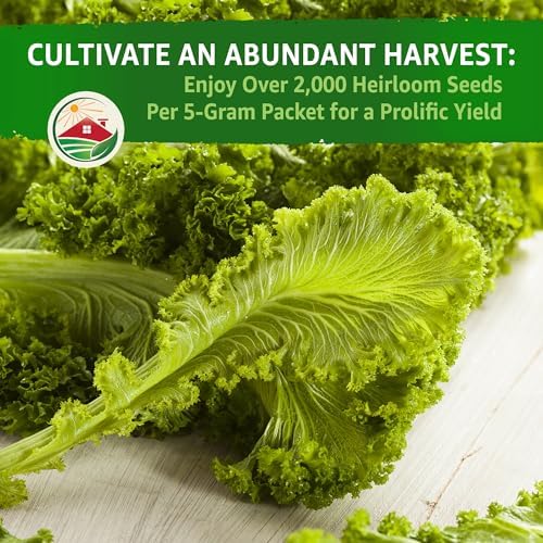 TKE Farms & Gardens - Mustard Green Seeds for Planting, Southern Giant Curled, 2000+ Heirloom Non-GMO Seeds, Grow Your own Mustard Greens, Instructions Included on Seed Packet, Brassica juncea, Qty 1