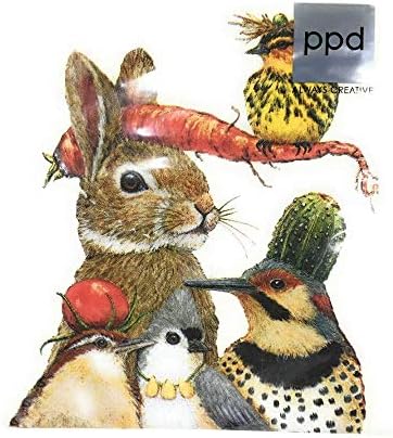 Paperproducts Design Lunch Paper Napkins, Multi color