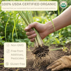 Organic Lemongrass Tea Bags - 40 Natural Corn Fiber Sachets - for Hot or Cold Drinks - Caffeine Free