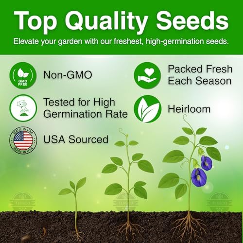50+ Butterfly Pea Flower Seeds for Planting, Non-GMO Flower Seeds, Blue Butterfly Pea Vine (Clitoria Ternatea) Asian Pigeonwings -Tropical Vine Plant - Edible Flower Seeds