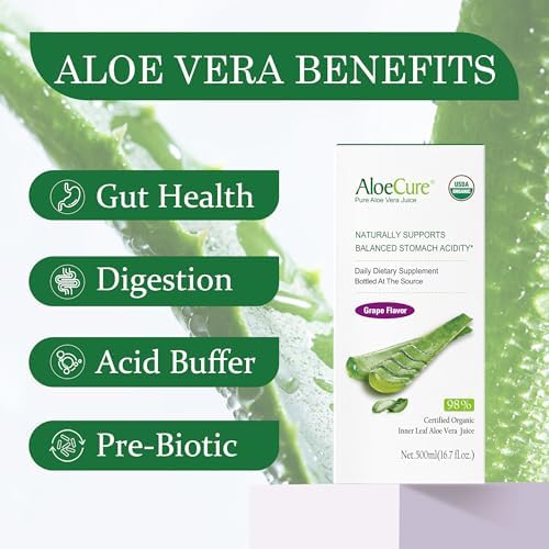 AloeCure USDA Organic Aloe Vera Juice Grape Flavor, Made Within 12 Hours of Harvest - Pure Aloe Vera Digestive & Immune Health Supplement, Helps Maintain Balanced Stomach Acidity, 16.7oz x 2 Btls