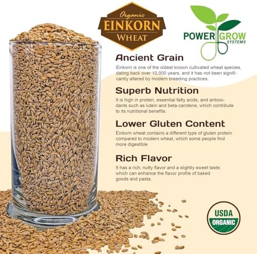 Einkorn Wheat Berries - 100% Certified Organic Einkorn Whole Wheat Grain (5 pounds) by PowerGrow Systems (Einkorn Wheat Berries 5 Pounds)