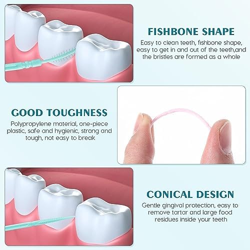 Toothpicks,Tooth Picks Flossers with Bristles,Double-Side Dental Picks,Plastic Toothpicks Disposable,Portable Package(40 Count×2Pack)