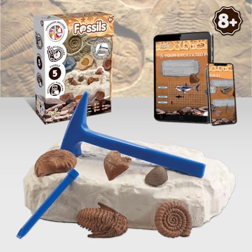 Science4you Fossil Digging Kit for Kids – Archeology, Excavation and Paleotology Kits for Kids, Fossil Dig, Stem Toy and Gift for Boys and Girls Age 6 7 8-12+