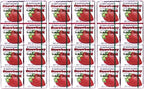 Marukawa Bubble Gum Strawberry 1.52oz (3 Pack)
