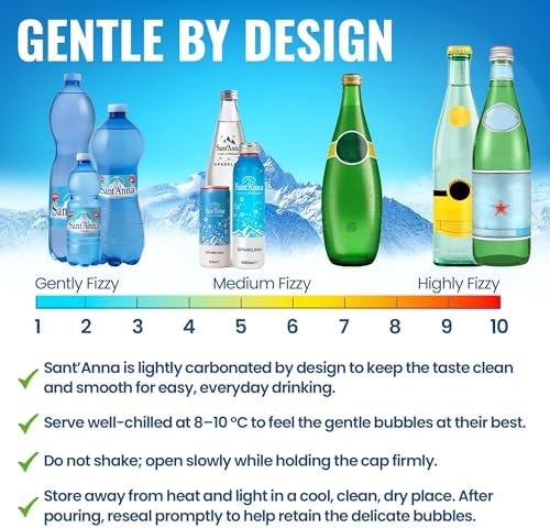 Sant'Anna Frizzante Sparkling Natural Mineral Water, 16.9 Fl Oz (24-Pack) | Pure Italian Alps Mountain-Fresh Drinking Water | Natural Functional Drink | Sodium-Free Mineral in BPA-Free Bottles