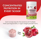 Pomegranate Juice Powder - Freeze Dried Organic Pomegranate Fruit Juice Concentrated Antioxidants & Electrolytes - Instant Drink Mix Powder for Hydration, Flavoring, Sugar Free 6 oz (Pack of 1)