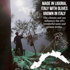 ROI Extra Virgin Olive Oil from Italy - Cucina Ligurian, First Cold Pressed, Pure, Polyphenol Rich Italian EVOO - 34 fl oz (1 Liter)