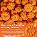Organic Pumpkin Powder,10.58 oz, 100% Pure Sweet Pumpkin for Lattes, Baking & Smoothies | Vegan, Gluten-Free, Kosher | Easy Puree & Juice Mix-In