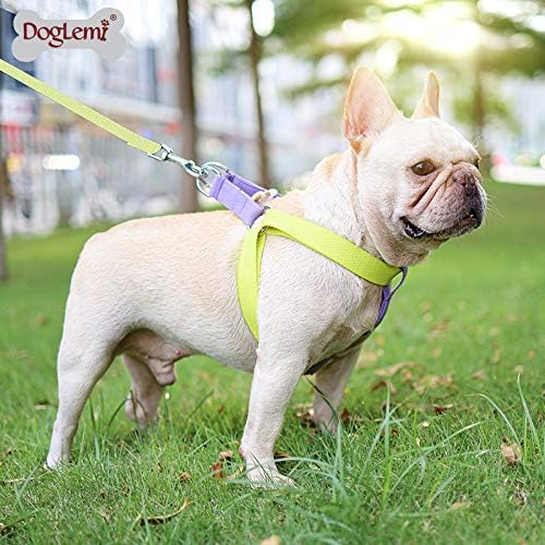 Rainbow Multi-Colour Dog Harness and Leash Set, Adjustable Easy to Wear Dog Harness and Leash Set (Green Red,Medium)