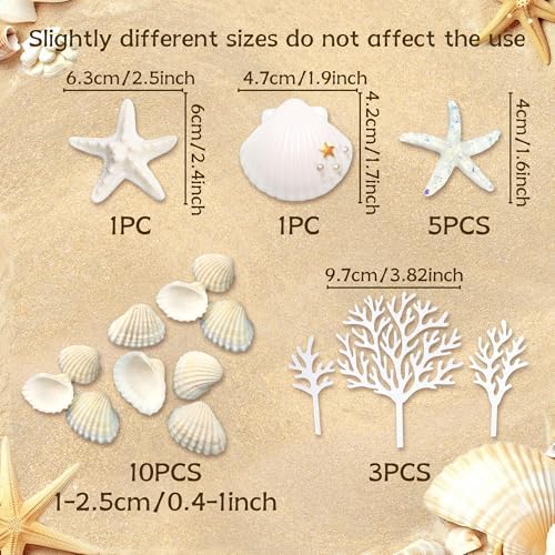 Beach Seashells Cake Decorations Under the Sea Cake Topper Under the Sea Birthday Party Decorations Starfish Shells Ocean Cake Topper Summer Beach Party Supplies