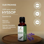 Hyssop Oil -(Hyssopus Officinalis)- Essential Oil 100% Pure Natural Undiluted Uncut Therapeutic Grade Oil 0.33 FL.OZ