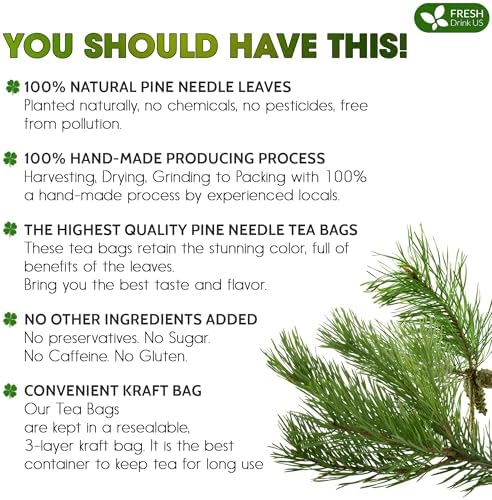 FreshDrinkUS, Pine Needle Tea Bags – 75 Tea Bags, Naturally Caffeine-Free, Refreshing Herbal Tea, Wild-Harvested Pine Leaves, Aromatic and Soothing – Non-GMO & Eco-Friendly Packaging